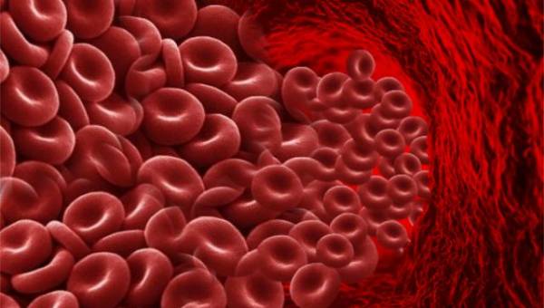 Krv i krvna zrnca (krvne ćelije)