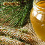 Borov med – lekoviti prirodni preparat protiv kašlja